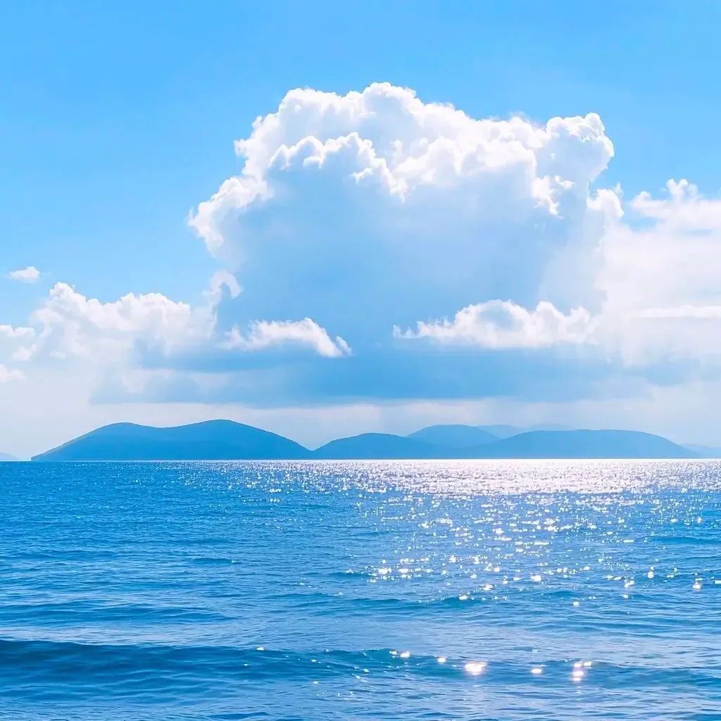 Hoàng Hữu Phước avatar